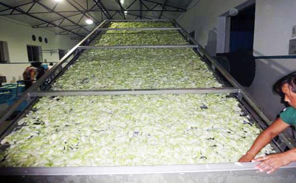 果脯烘干機(jī) 果脯烘干機(jī)